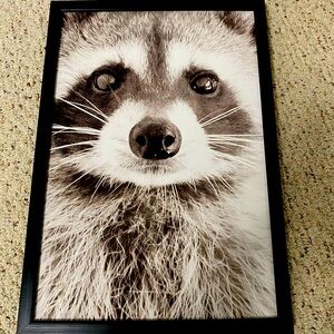 Raccoon Portrait- Home Wall Decor